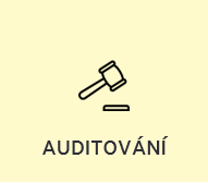 Auditování